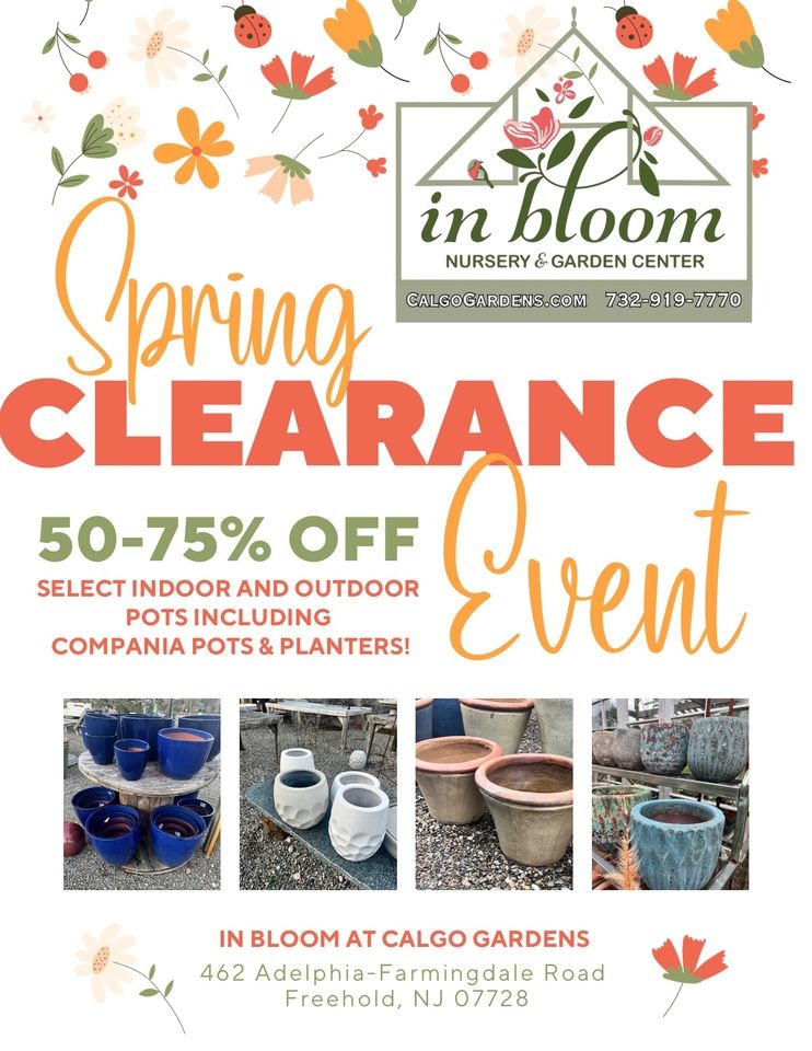 In Bloom Spring Clearance Sale 